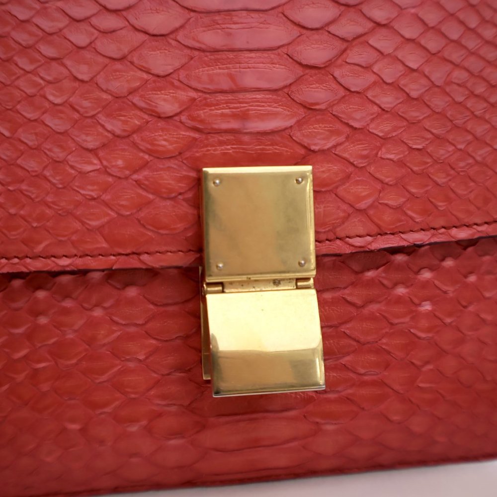 Celine Medium Python Box Bag - image 4
